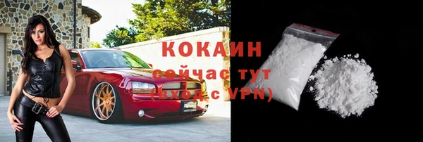 мдпв Богданович