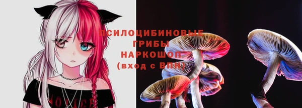 прущая мука Богородск