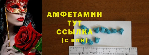 мдпв Богданович