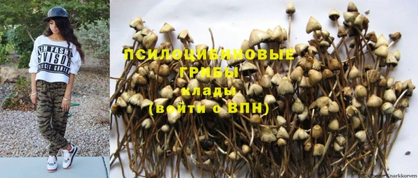 мдпв Богданович