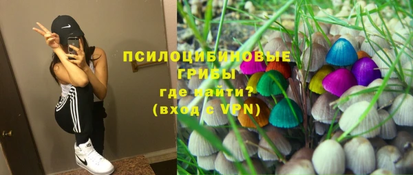 мдпв Богданович