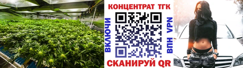 купить наркоту  Цивильск  гидра ссылка  ТГК THC oil 